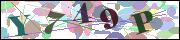 Captcha word