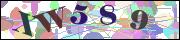 Captcha word