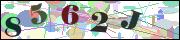 Captcha word
