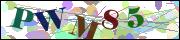 Captcha word