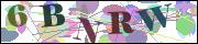 Captcha word