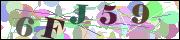 Captcha word