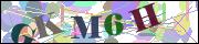 Captcha word