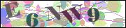 Captcha word