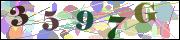 Captcha word