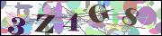 Captcha word