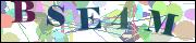 Captcha word