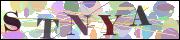 Captcha word