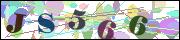 Captcha word