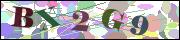 Captcha word