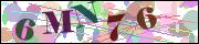 Captcha word