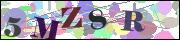 Captcha word