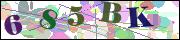 Captcha word