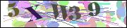 Captcha word