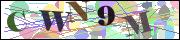 Captcha word