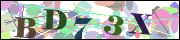 Captcha word