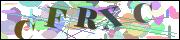 Captcha word