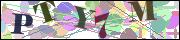 Captcha word