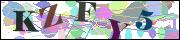 Captcha word