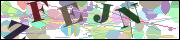 Captcha word