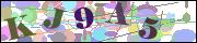 Captcha word