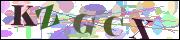 Captcha word