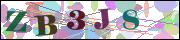 Captcha word