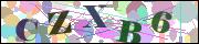 Captcha word