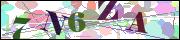Captcha word