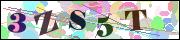 Captcha word