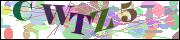 Captcha word