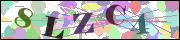 Captcha word