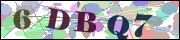 Captcha word