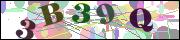 Captcha word