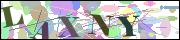 Captcha word