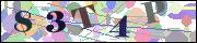 Captcha word
