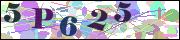 Captcha word