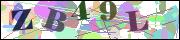Captcha word