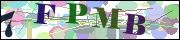 Captcha word