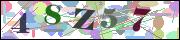 Captcha word