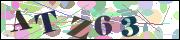 Captcha word