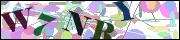 Captcha word