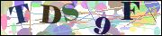 Captcha word