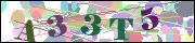 Captcha word