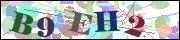 Captcha word
