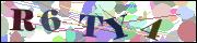 Captcha word