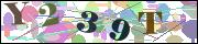Captcha word