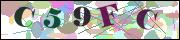 Captcha word