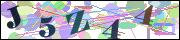Captcha word