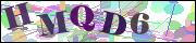 Captcha word